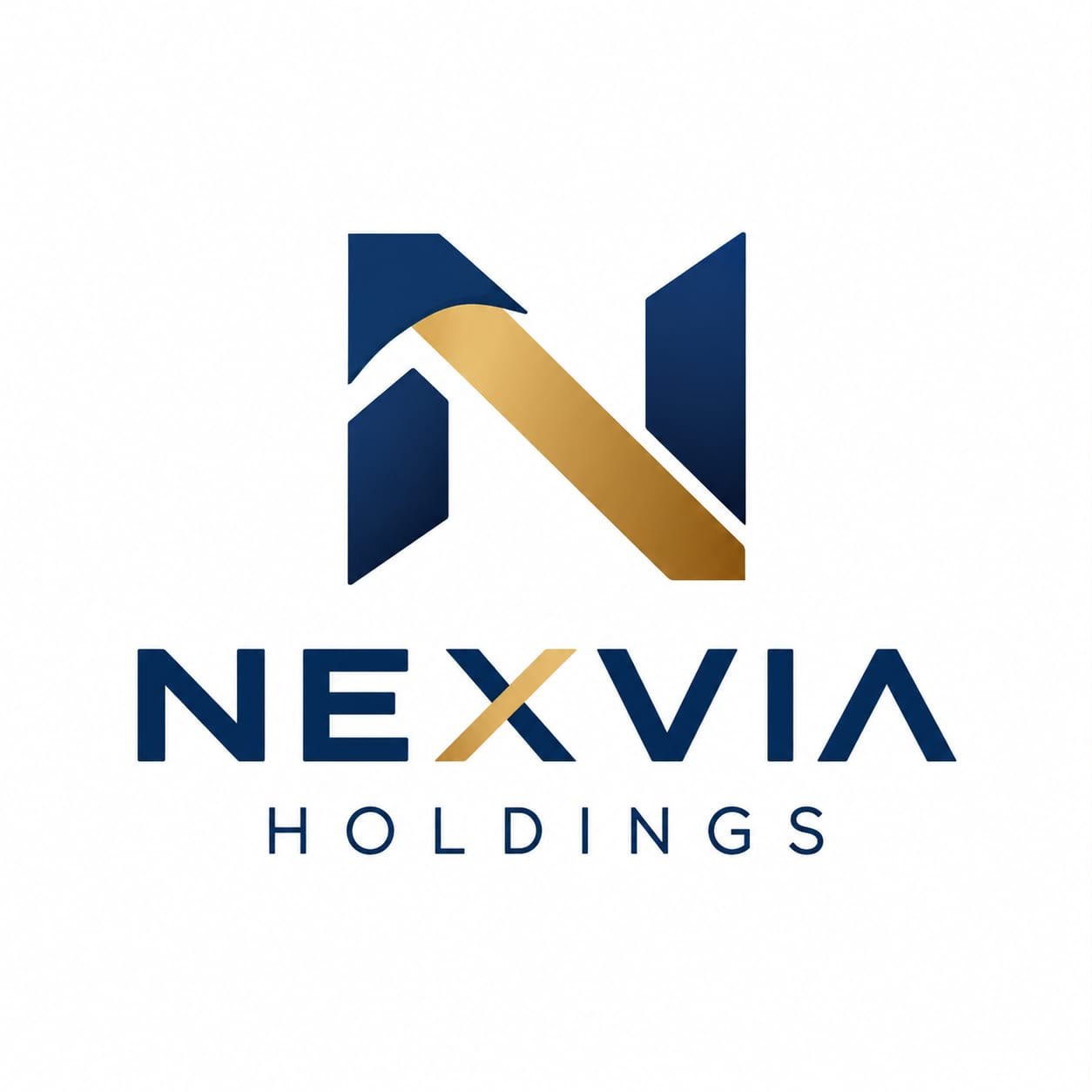 Nexvia Holdings logo